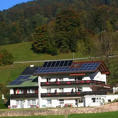 Guest house Haus Heimattreu 2*