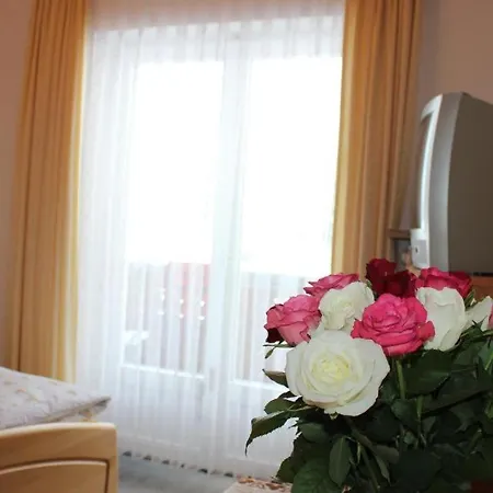 Haus Heimattreu Guest house 2*