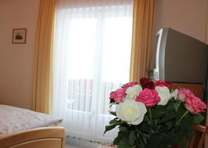 Haus Heimattreu بيت ضيافة 3*